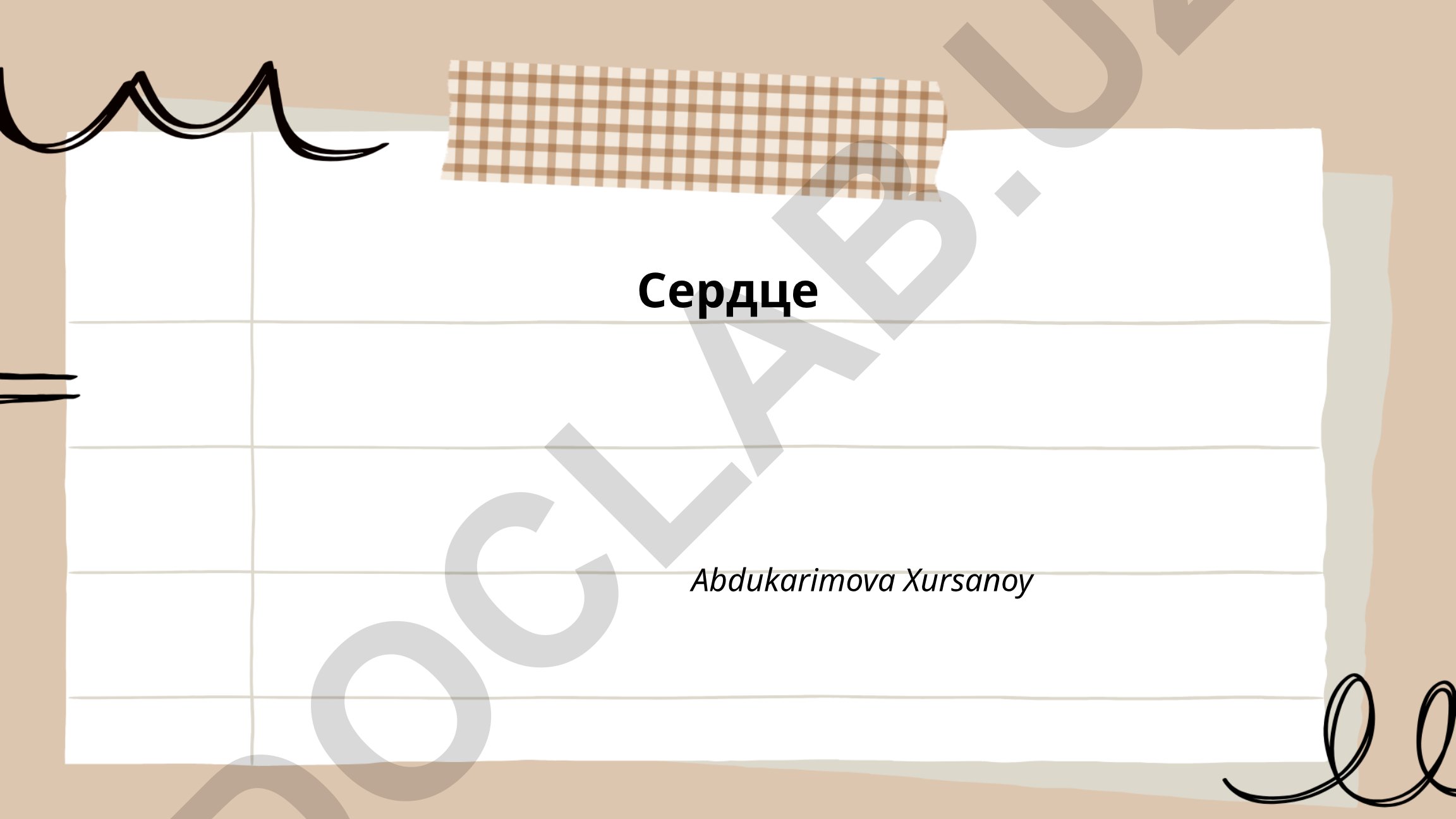 Анатомия сердца и его камеры