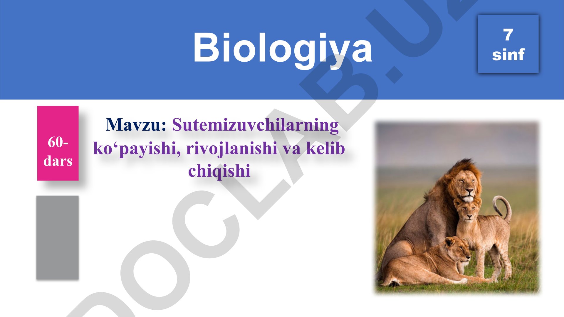 Sutemizuvchilarning ko‘payishi, rivojlanishi va kelib chiqishi