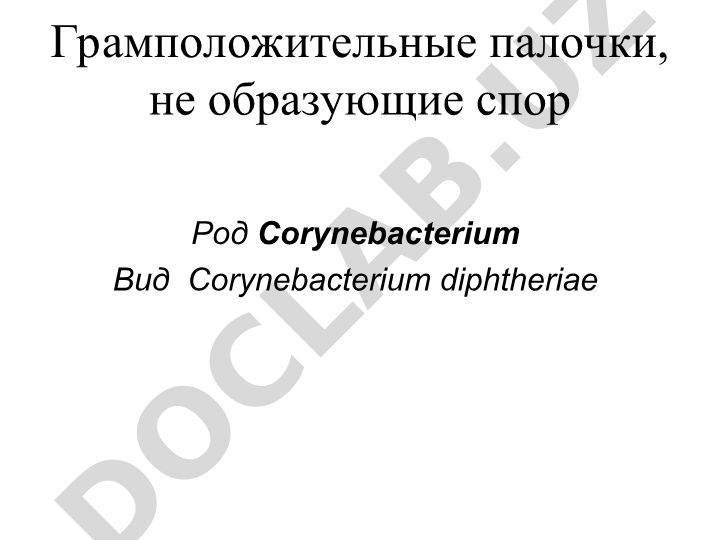 Corynebacterium diphtheriae: морфология, культуральные свойства и патогенез
