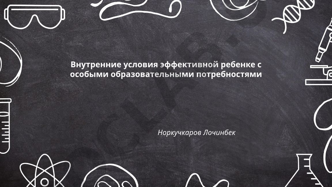 Внутренние условия эффективной работы с детьми с особыми образовательными потребностями