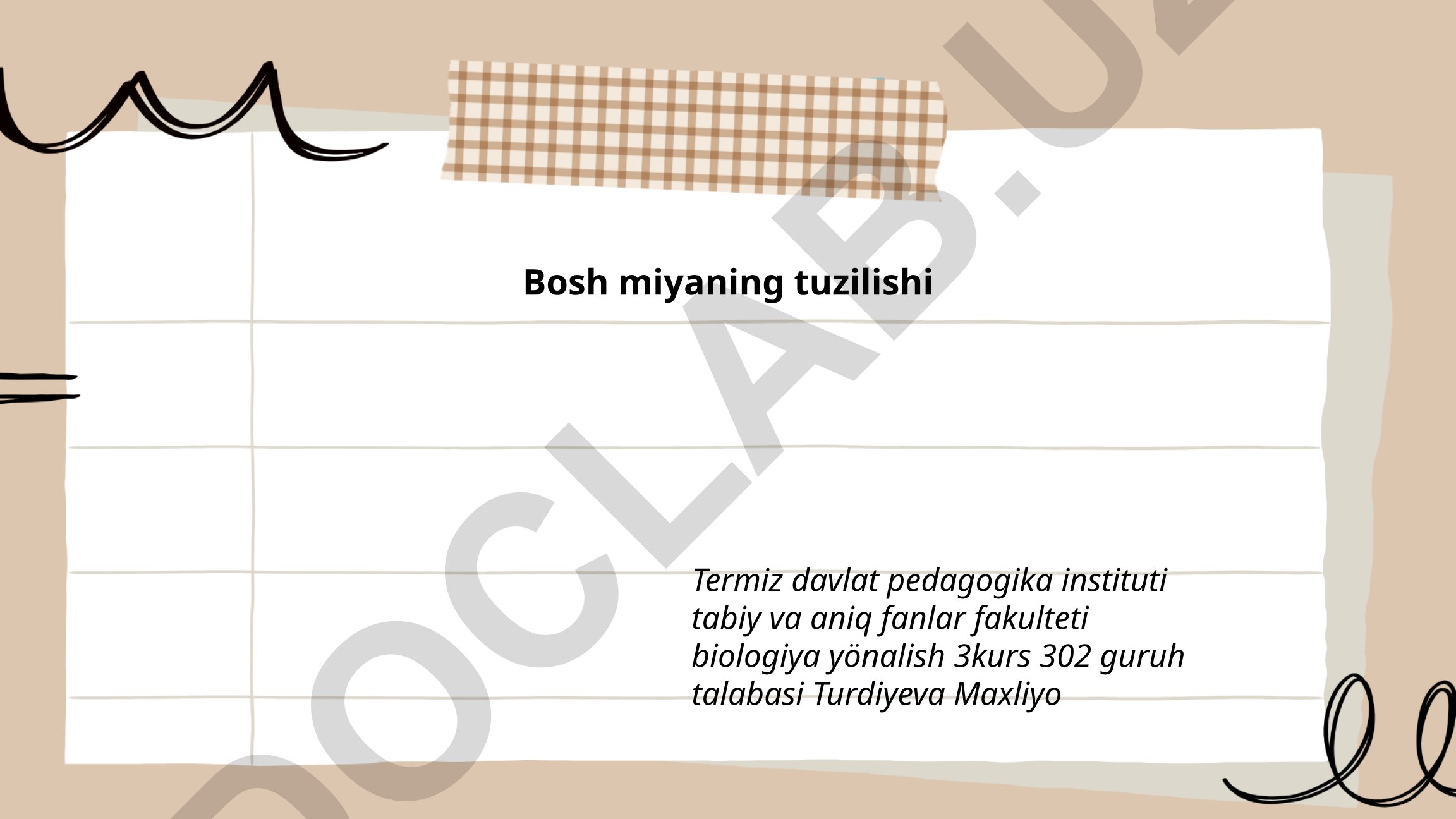 Bosh miyaning tuzilishi