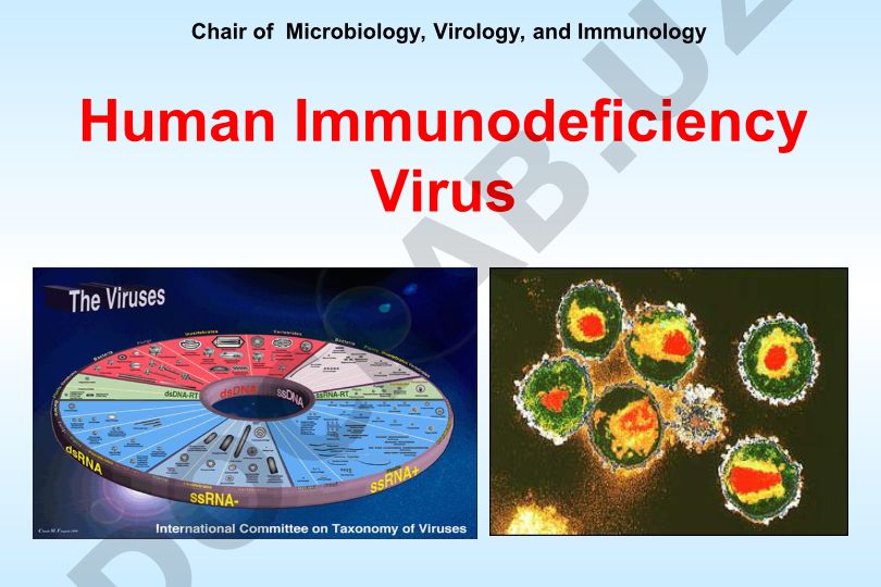 Human Immunodeficiency Virus and AIDS History