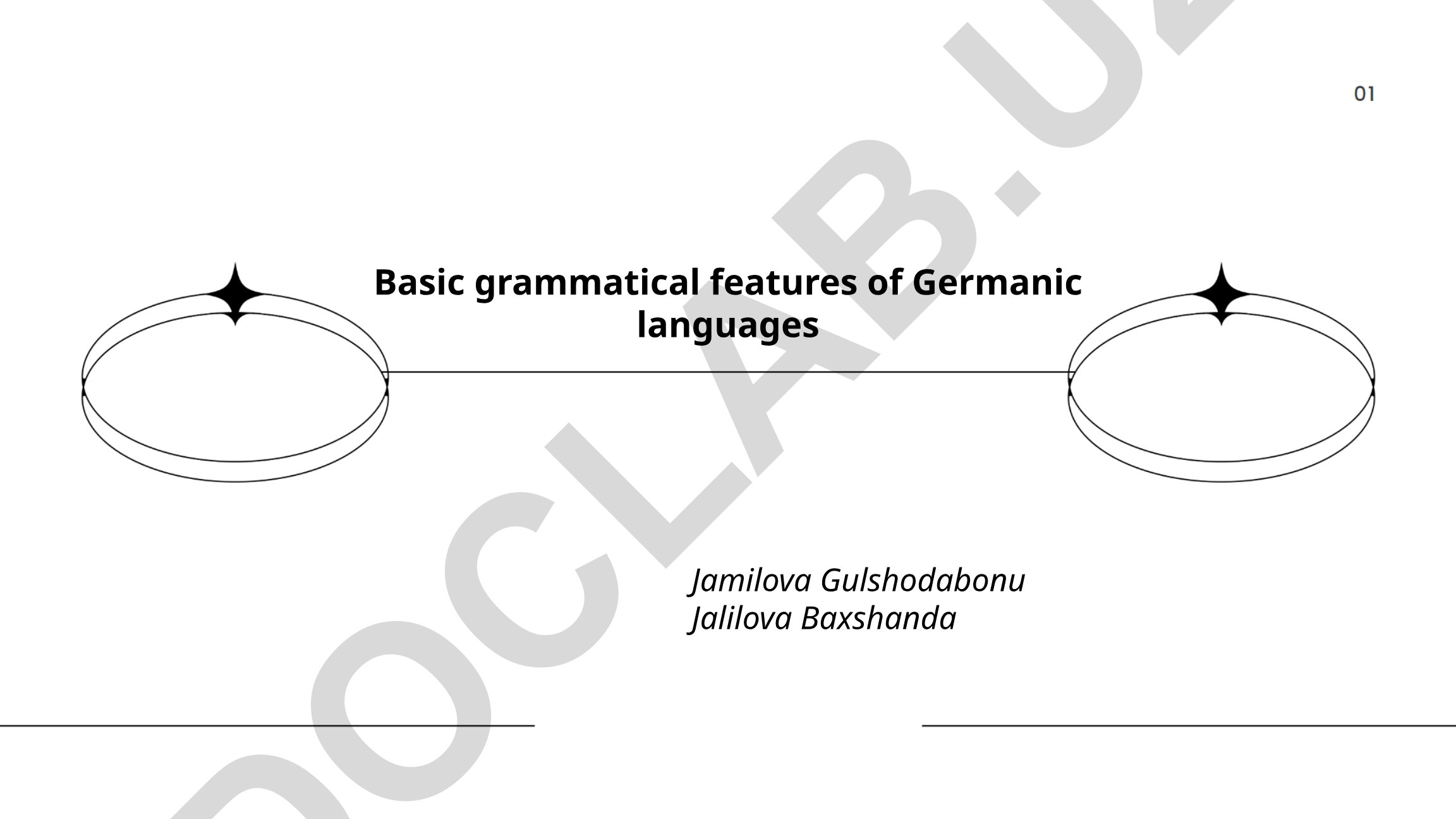 Basic grammatical features of Germanic languages