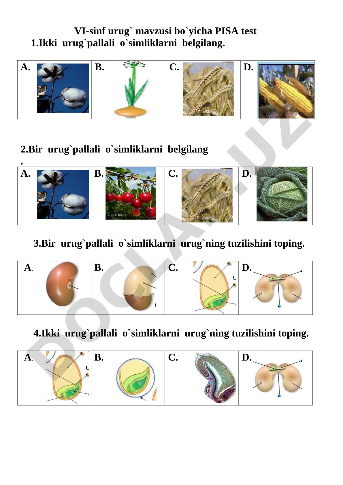 O'simliklar urug'ining tuzilishi va urug'pallalilarga oid test