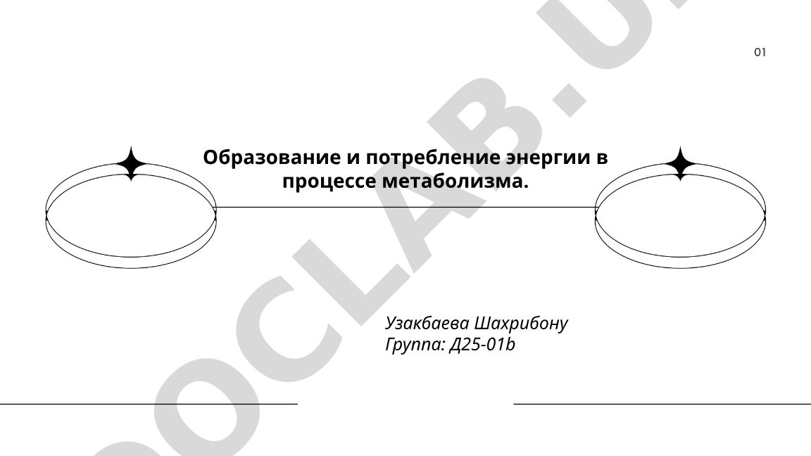 Образование и потребление энергии в процессе метаболизма