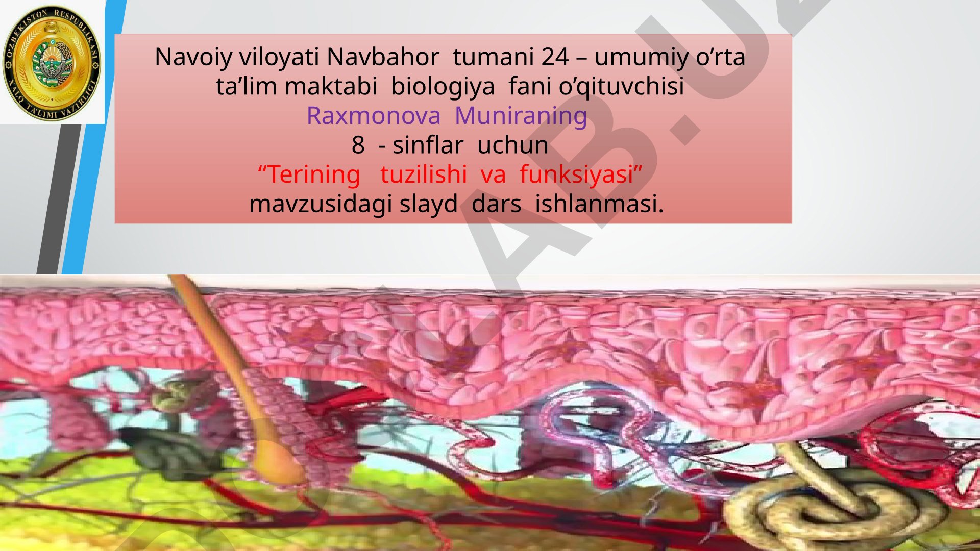 Terining tuzilishi va funksiyasi