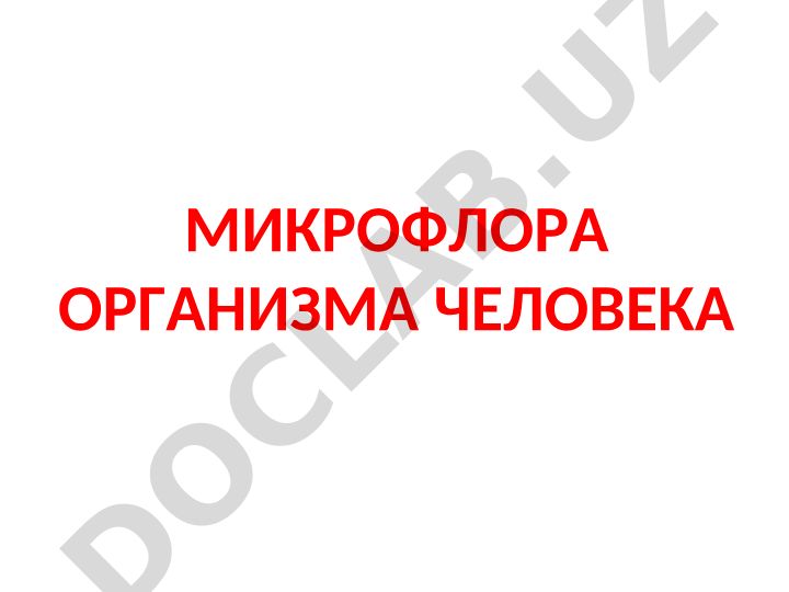 Микрофлора организма человека