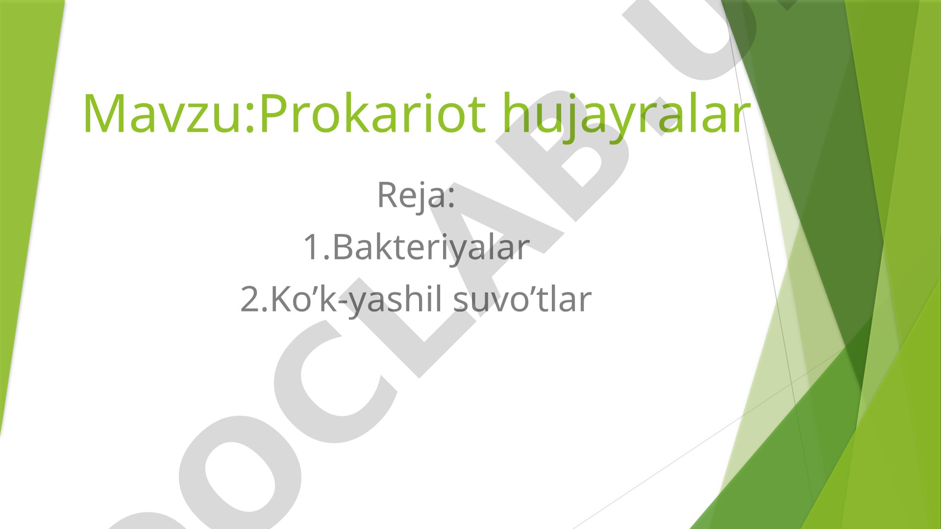 Prokariot hujayralar