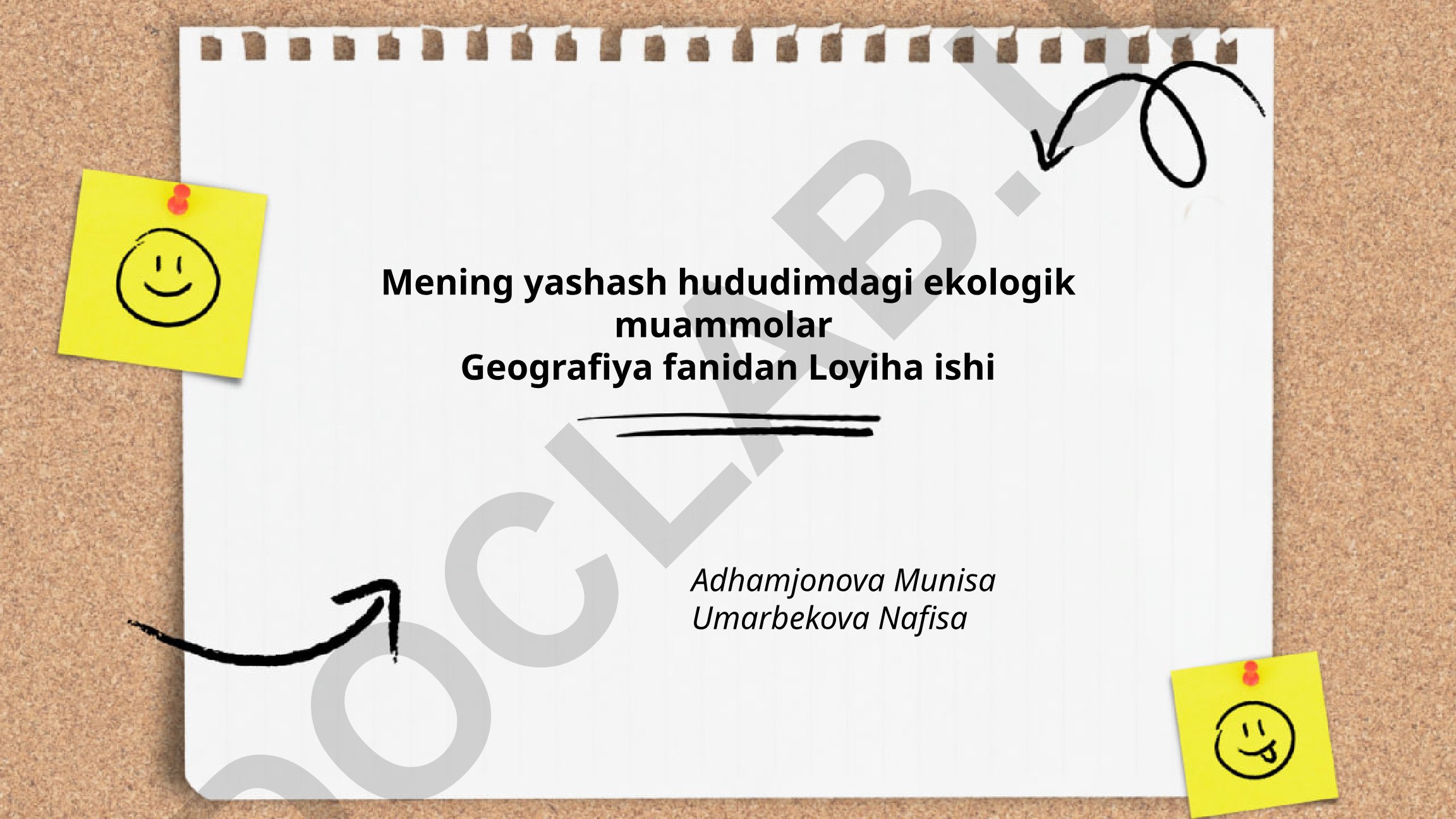 Mening yashash hududimdagi ekologik muammolar