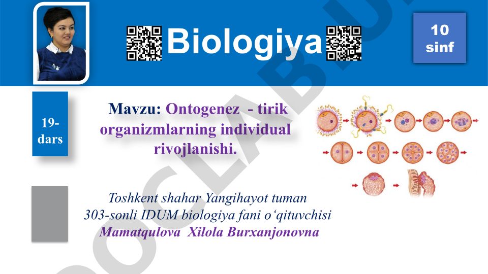 Ontogenez - tirik organizmlarning individual rivojlanishi