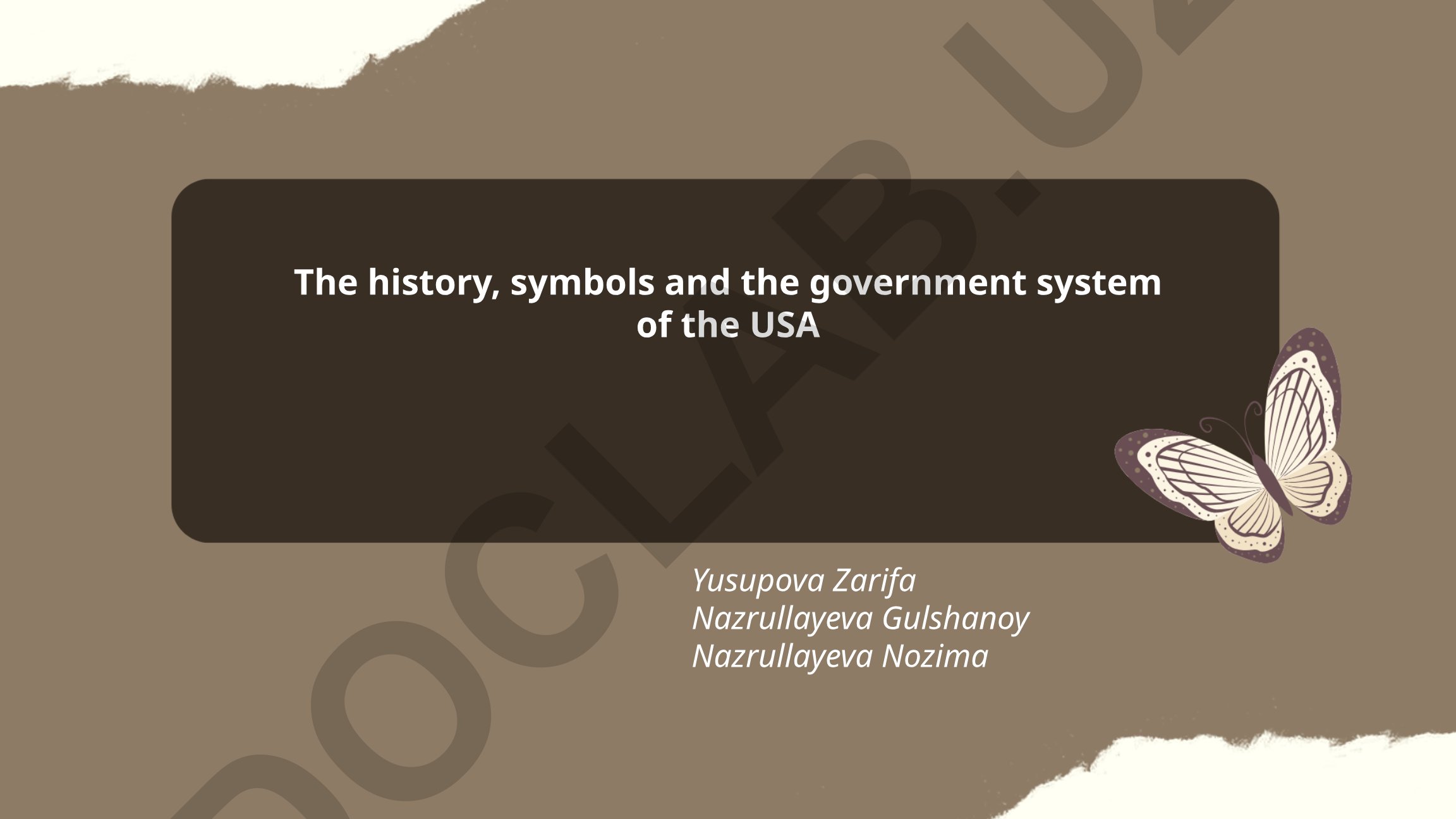 The history, symbols and the government system of the USA