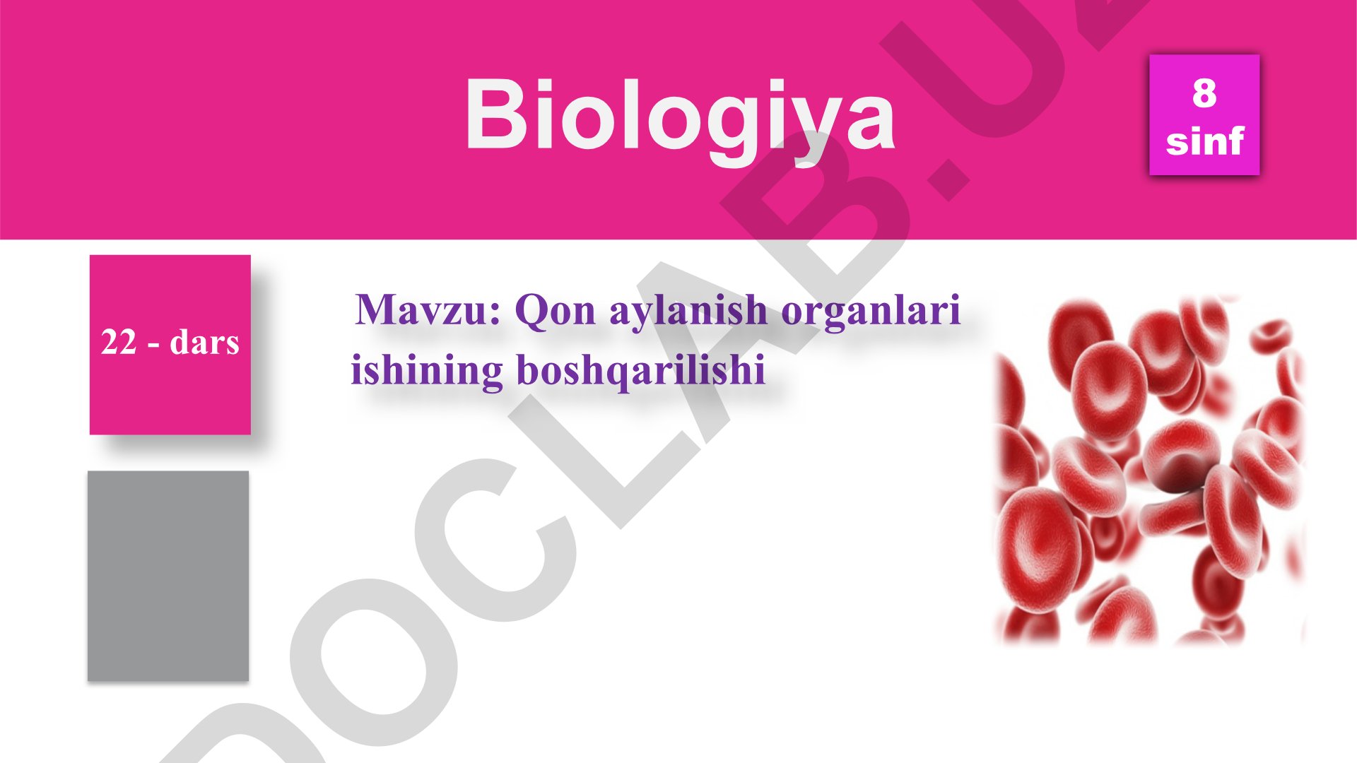 Qon aylanish organlari ishining boshqarilishi