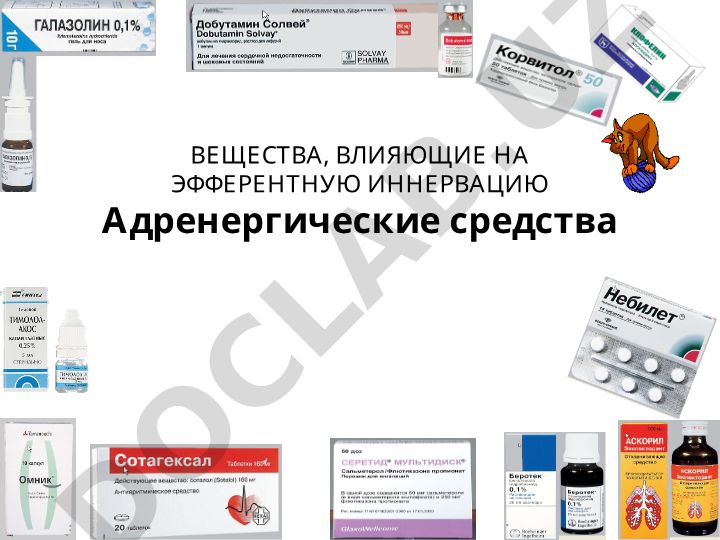 Вещества, влияющие на эфферентную иннервацию: адренергические средства