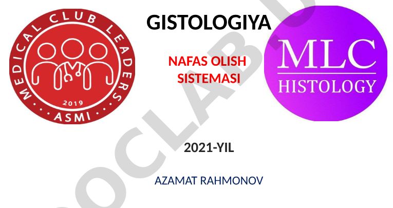 Gistologiya nafas olish sistemasi