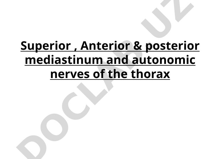 Superior, Anterior va Posterior Mediastinum va Ko'krak Qafasining Avtonom Nervlari