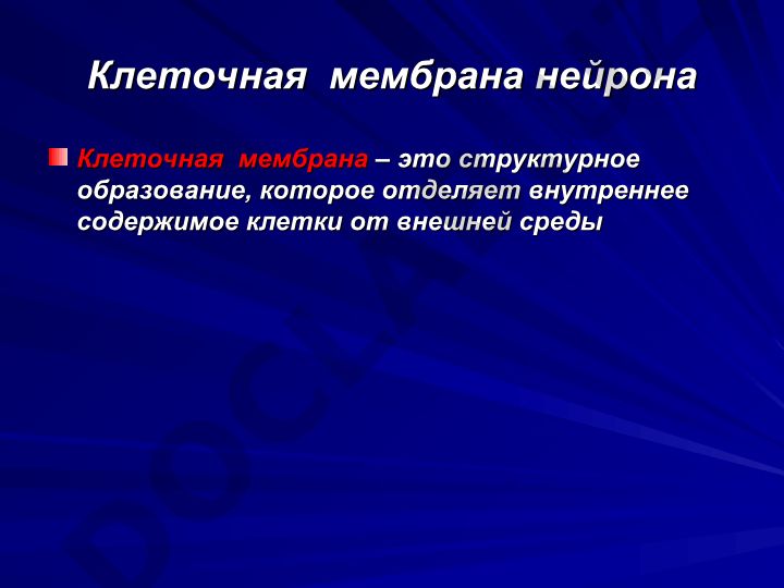 Клеточная мембрана нейрона: строение и функции