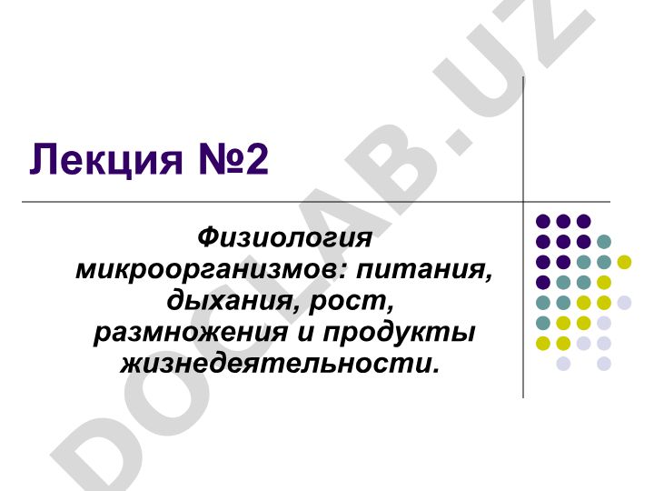 Физиология микроорганизмов: питание, дыхание, рост, размножение и продукты жизнедеятельности