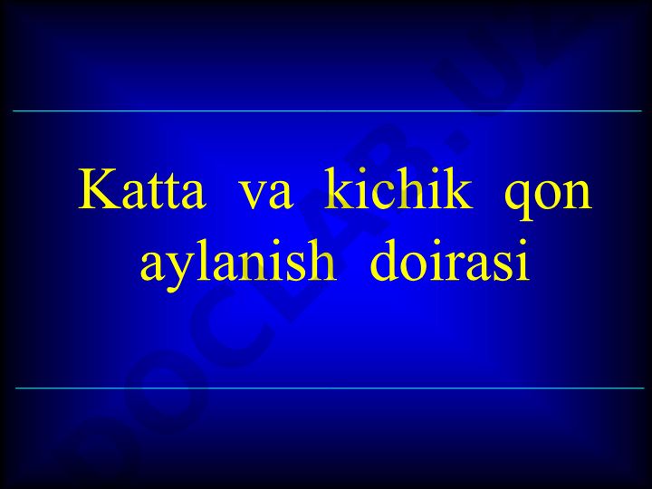 Katta va kichik qon aylanish doirasi va yurak tuzilishi
