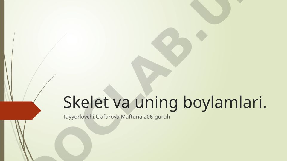 Odam skeleti va uning boylamlari