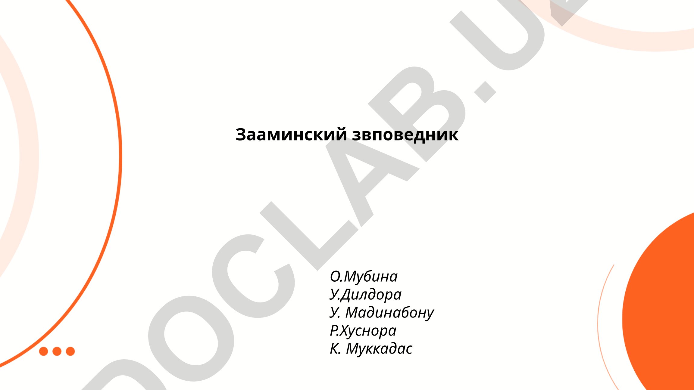 Зааминский заповедник: история, география и флора