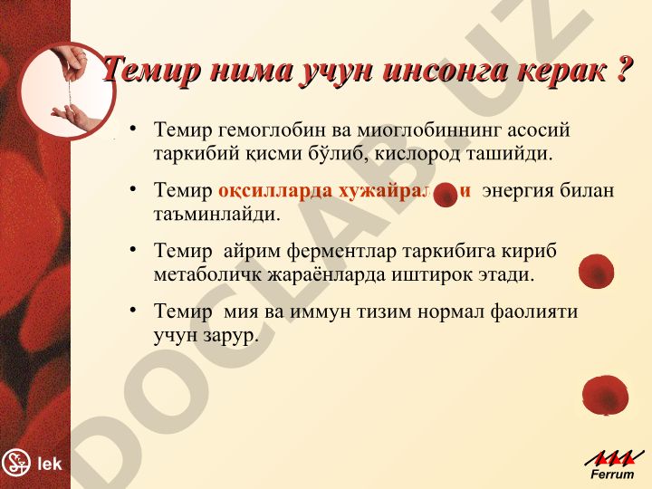 Темирнинг инсон организми учун ахамияти ва организмга тушиши