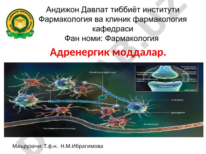 Адренергик моддалар ва адренорецепторлар
