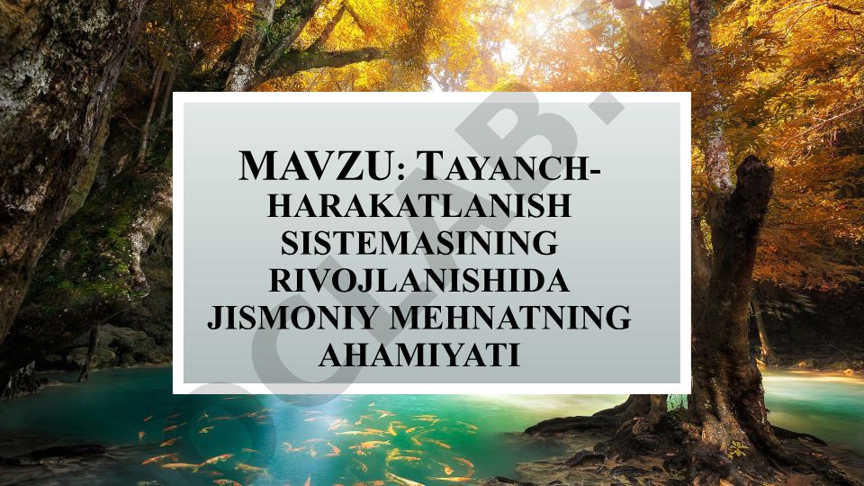 Tayanch-harakatlanish sistemasining rivojlanishida jismoniy mehnatning ahamiyati