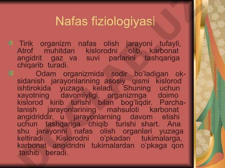 Nafas fiziologiyasi