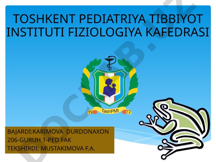 Ko'ndalang–targ'il muskullarning xossalari