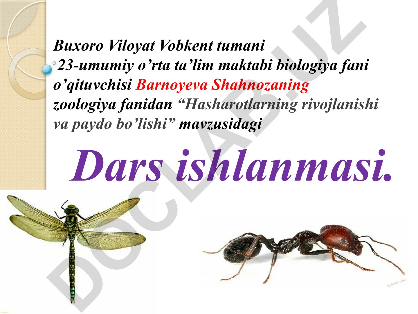 Hasharotlarning kelib chiqishi va ahamiyati