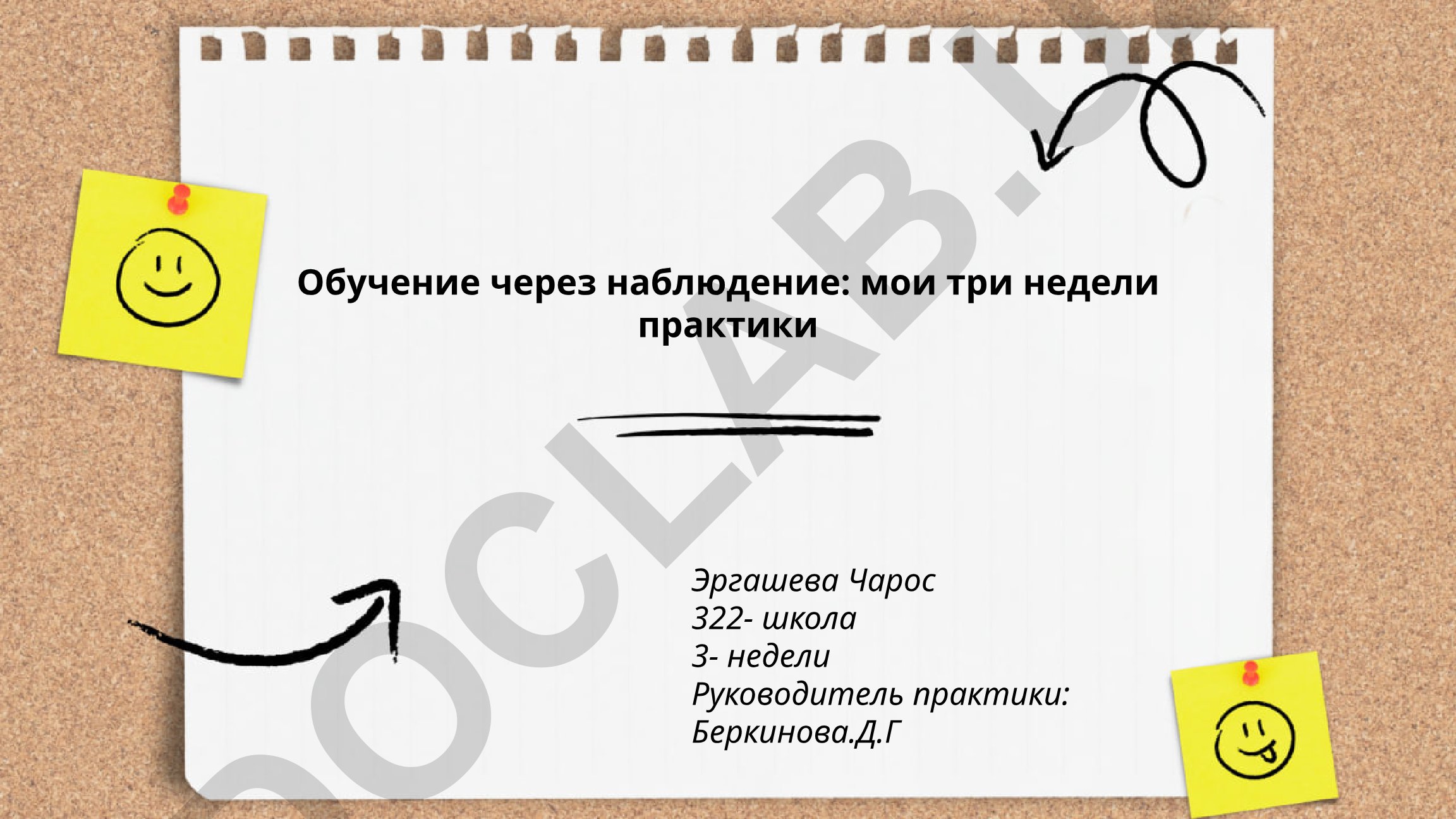 Обучение через наблюдение: три недели практики в школе
