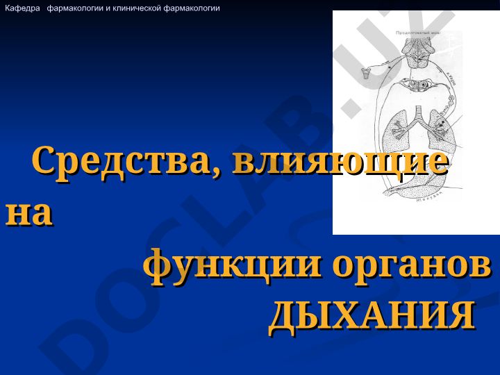 Средства, влияющие на функции органов дыхания