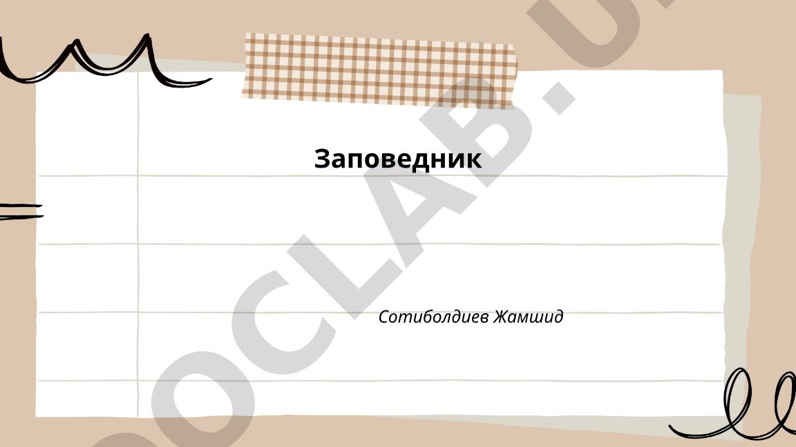 История и развитие системы заповедников в России