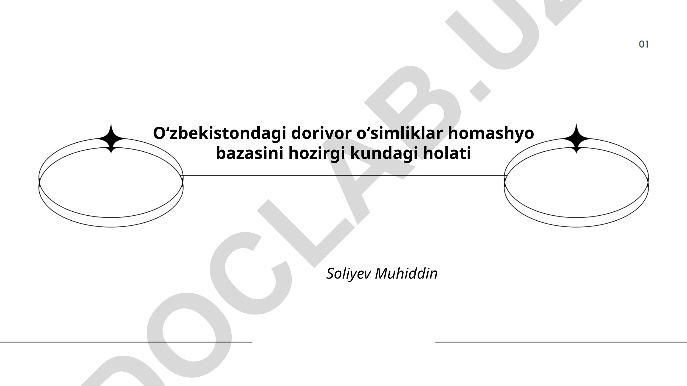 Oʻzbekistondagi dorivor oʻsimliklar homashyo bazasini hozirgi kundagi holati
