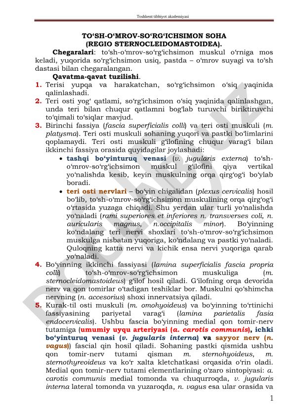 To'sh-o'mrov-so'rg'ichsimon soha anatomiyasi