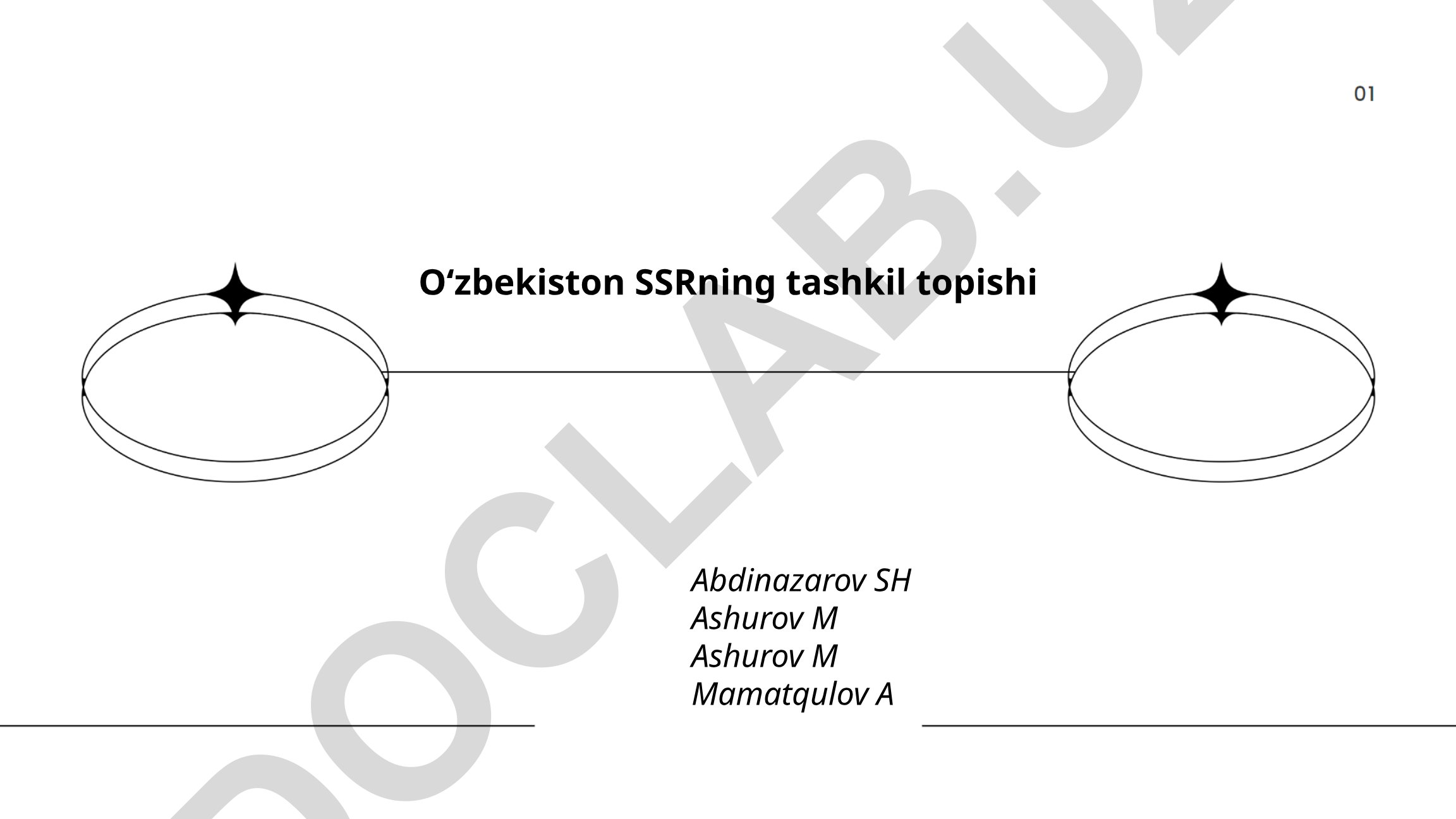 O'zbekiston SSRning tashkil topishi va milliy-territorial ajratish