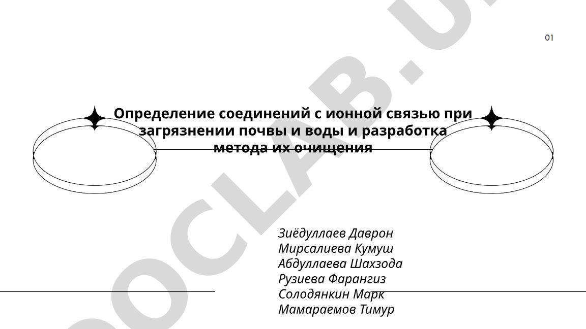 Определение соединений с ионной связью при загрязнении почвы и воды и разработка метода их очищения