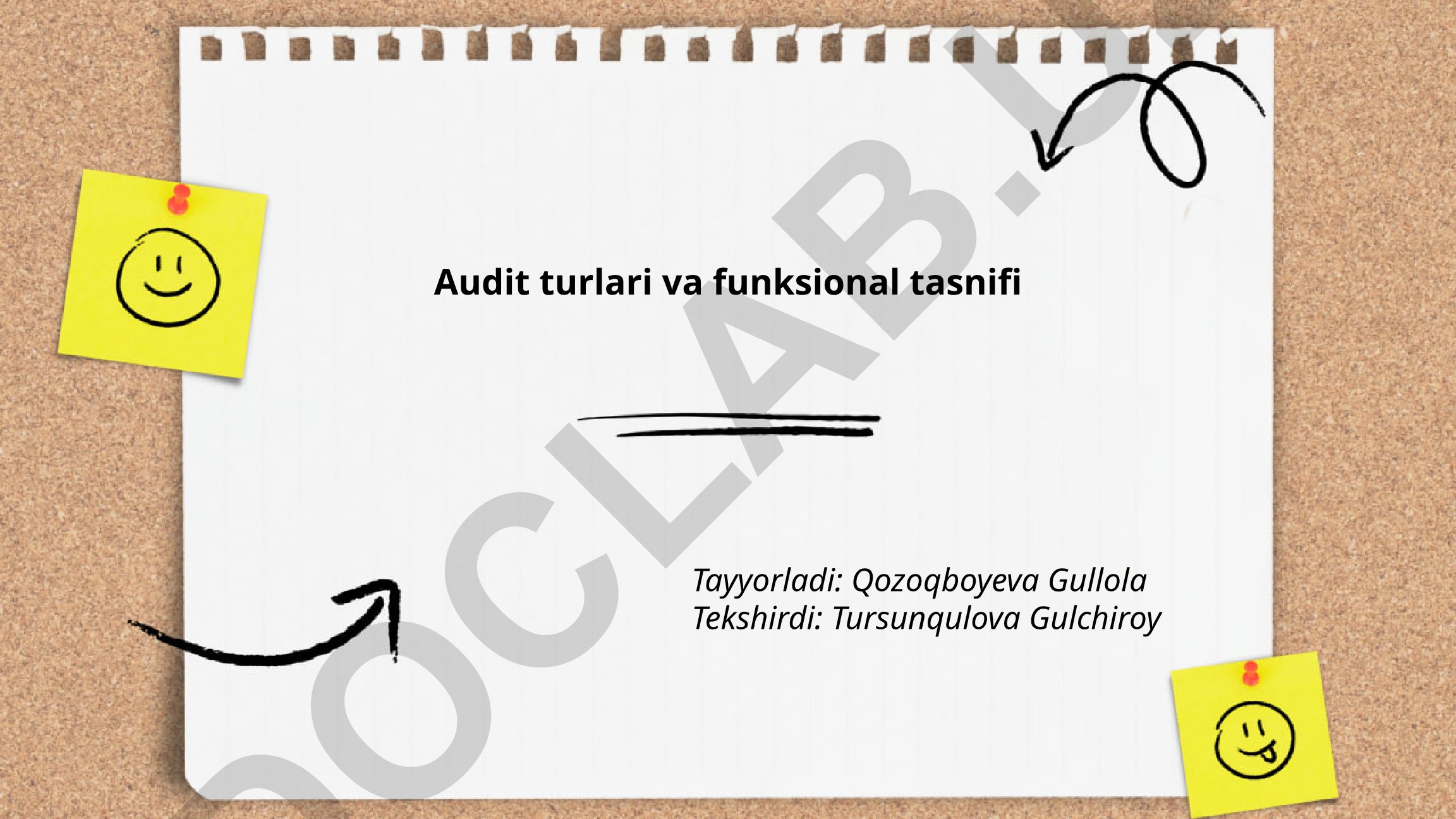 Audit turlari va funksional tasnifi