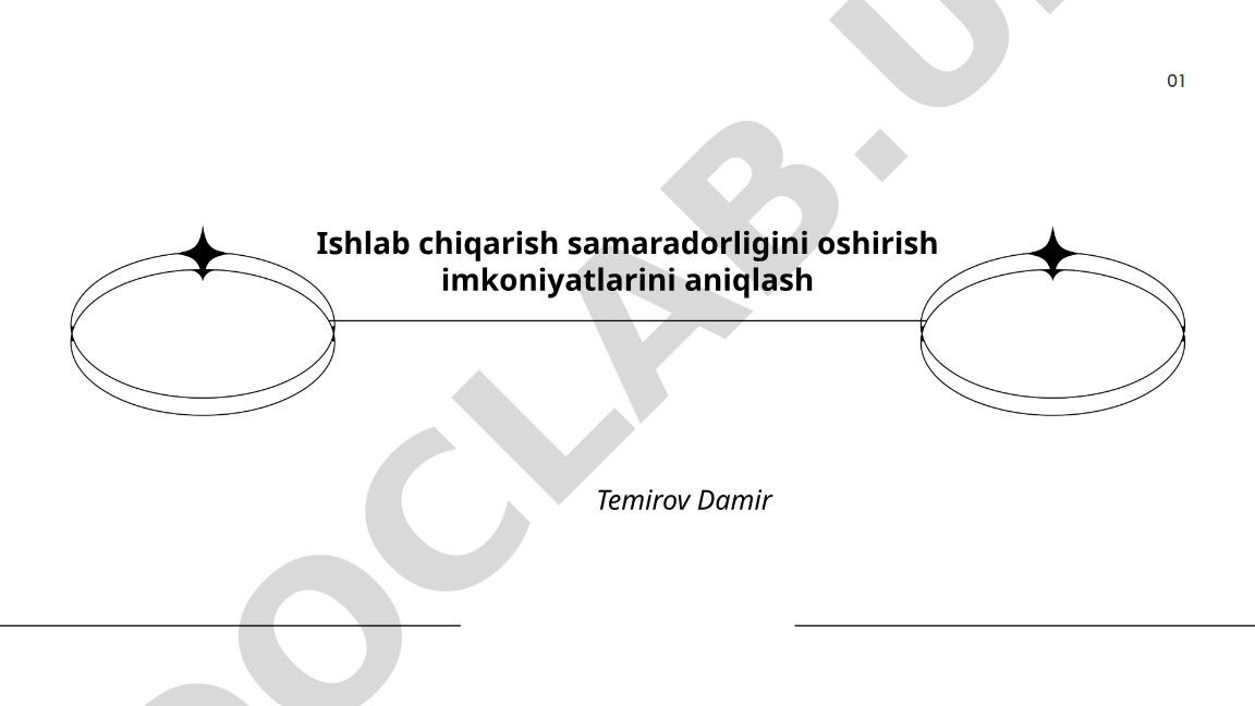 Ishlab chiqarish samaradorligini oshirish imkoniyatlarini aniqlash