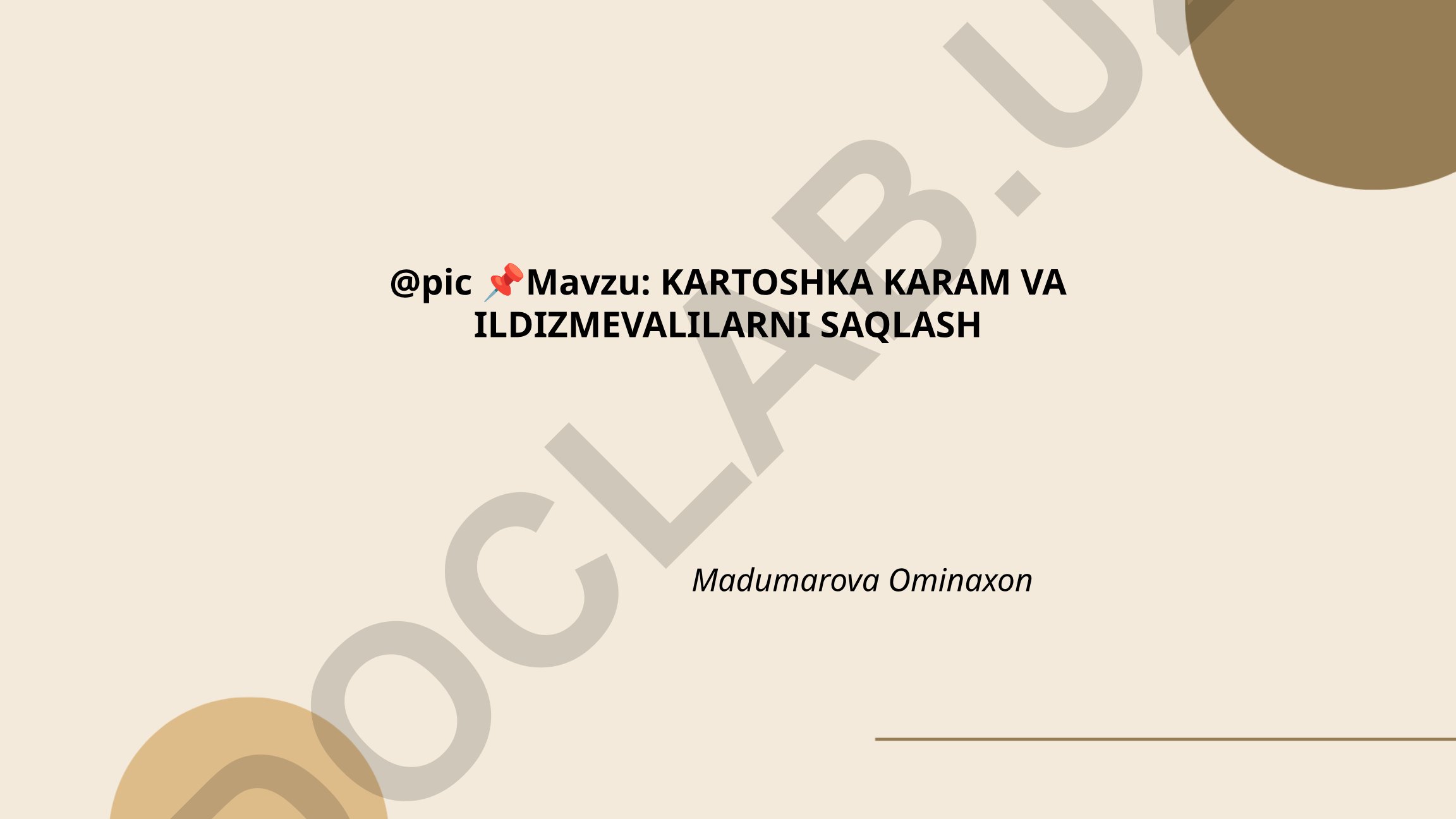 Kartoshka, karam va ildizmevalilarni saqlash