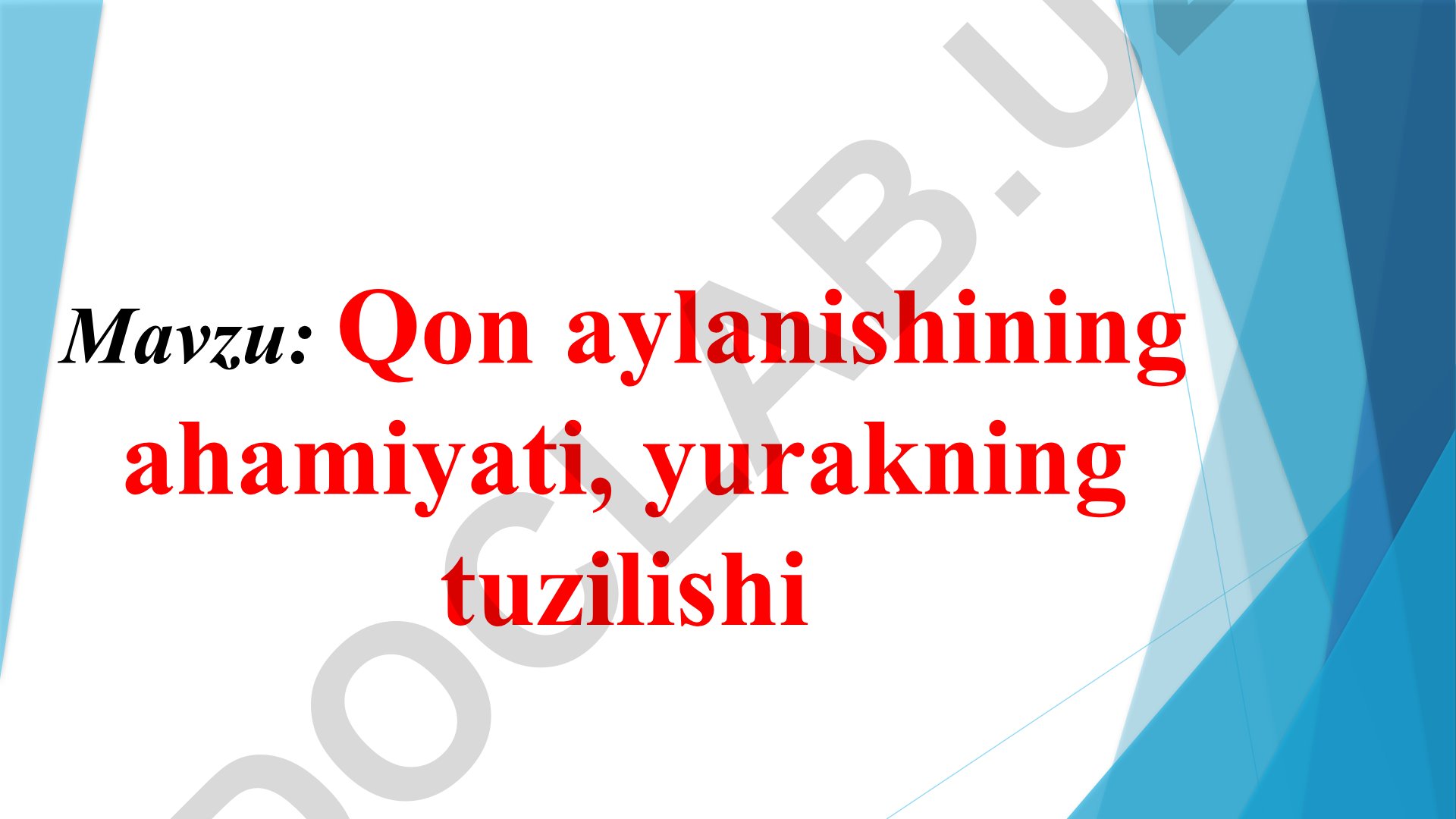Qon aylanishining ahamiyati, yurakning tuzilishi