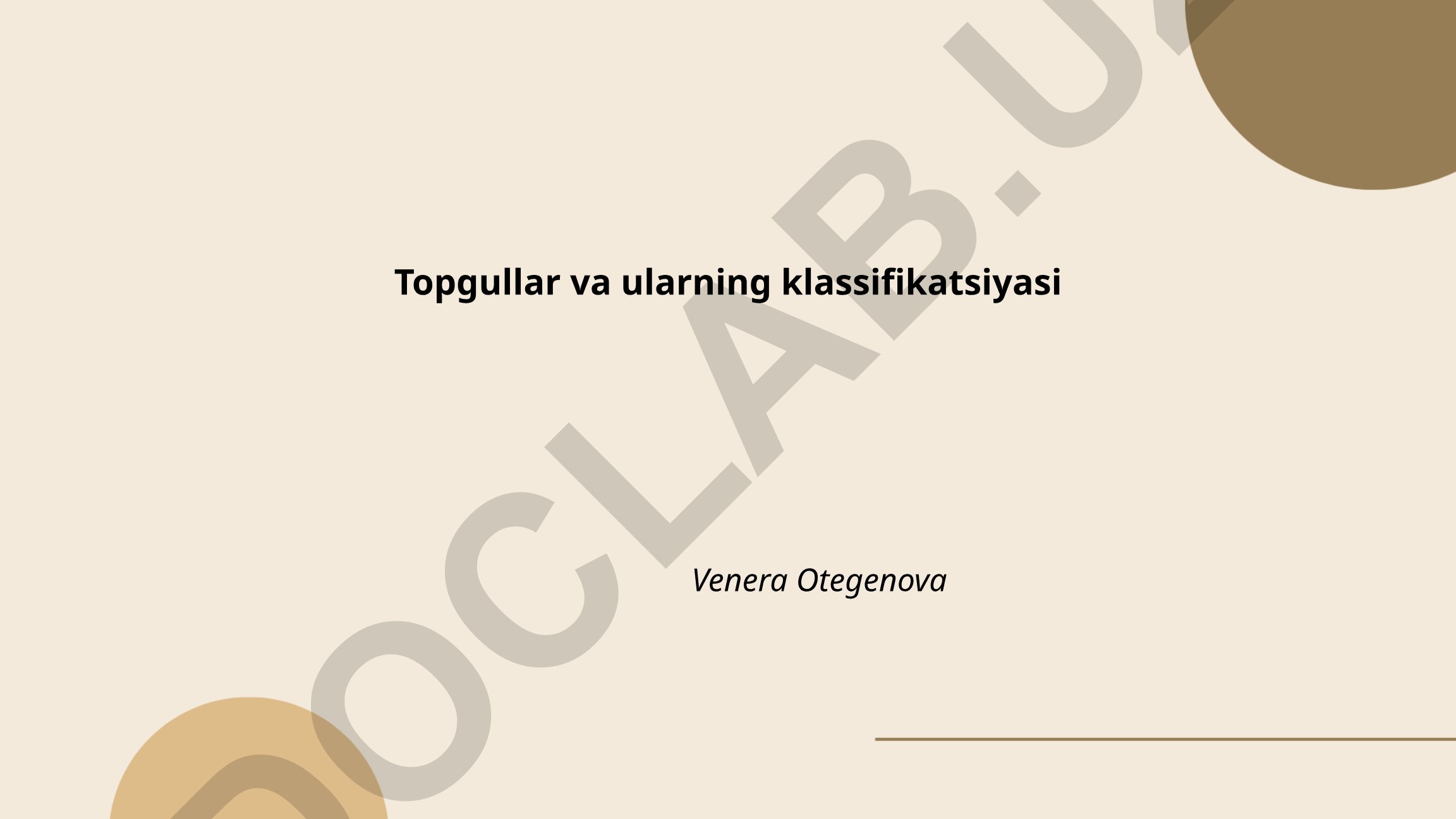 Topgullar va ularning klassifikatsiyasi