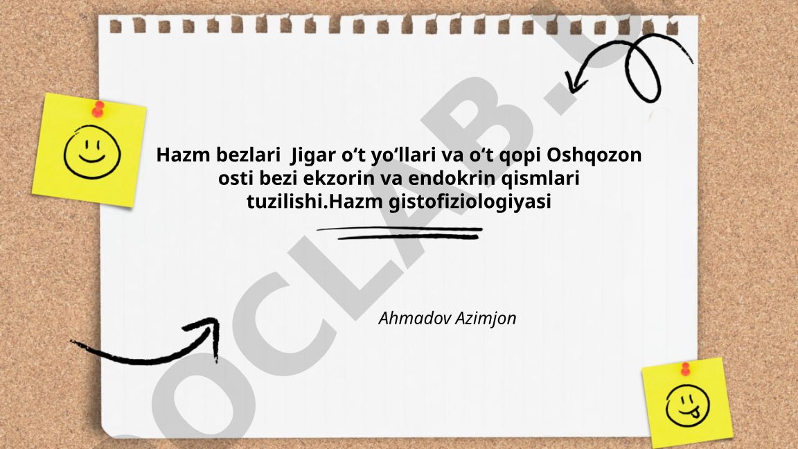Hazm bezlari, jigar, o't yo'llari va oshqozon osti bezi tuzilishi