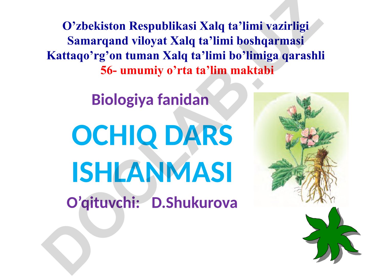 Gullarning xilma xilligi
