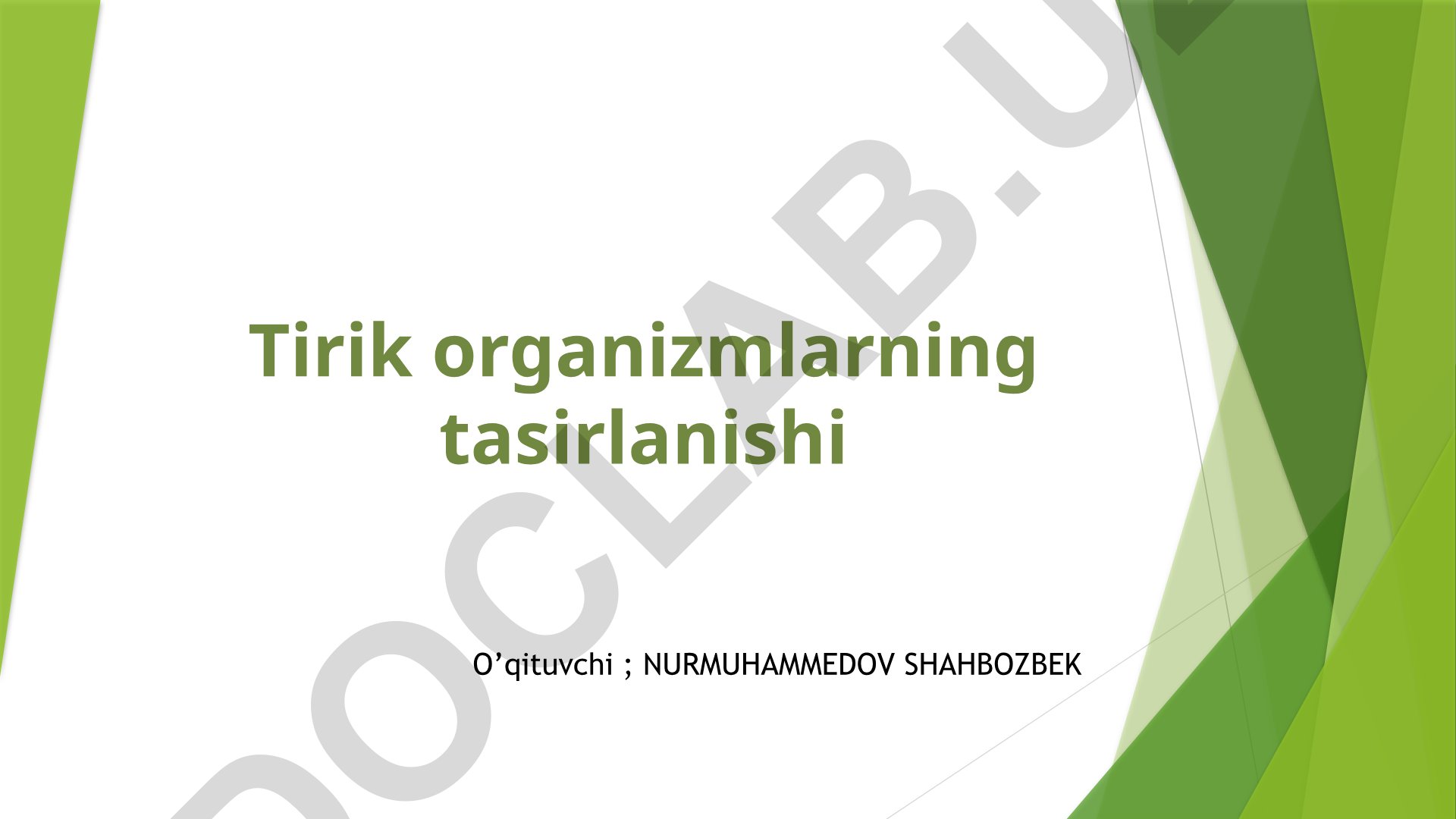 Tirik organizmlarning ta'sirlanishi
