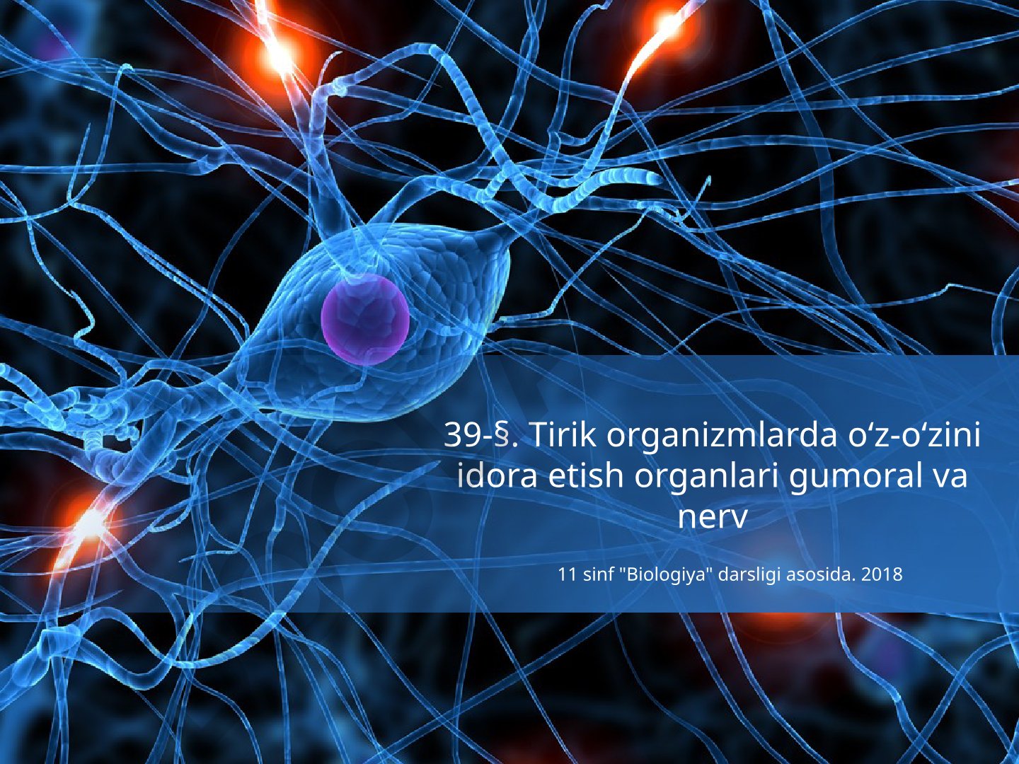 Tirik organizmlarda o‘z-o‘zini idora etish organlari