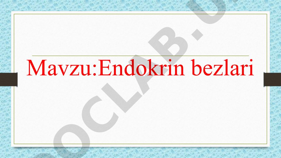 Endokrin bezlari Gipofiz bezi