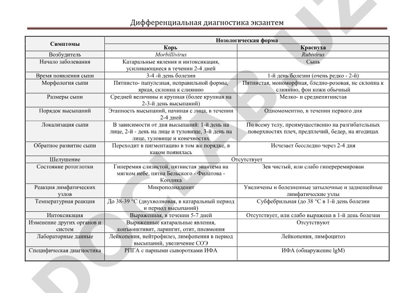 Дифференциальная диагностика кори и краснухи