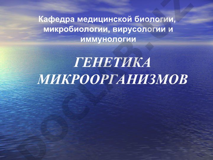 Генетика микроорганизмов: ДНК, транспозоны, IS-элементы и плазмиды