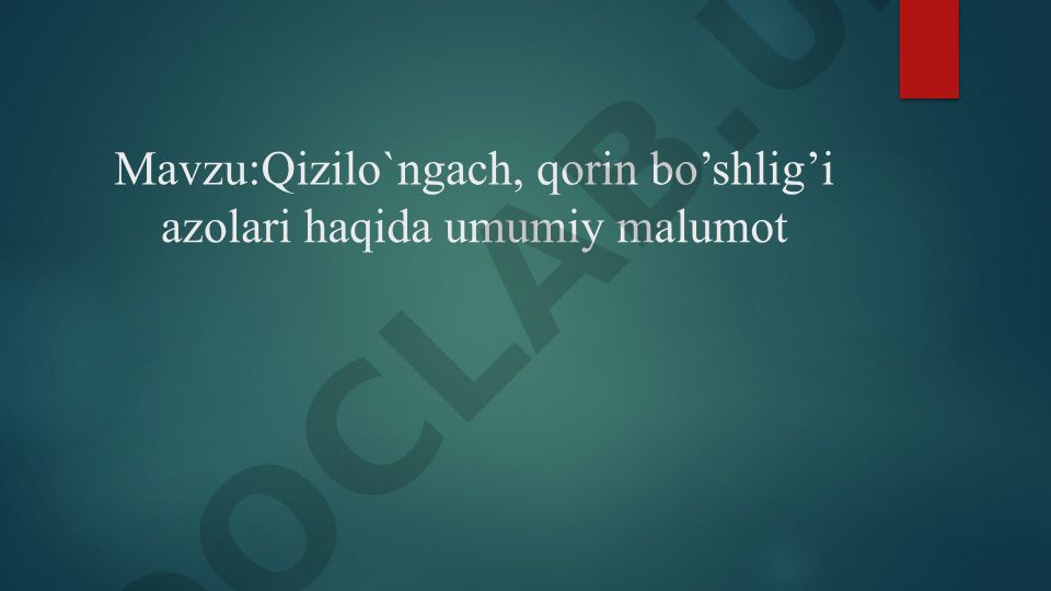 Qizilo'ngach, qorin bo'shlig'i azolari haqida umumiy ma'lumot